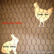 Galvanized Chicken Mesh