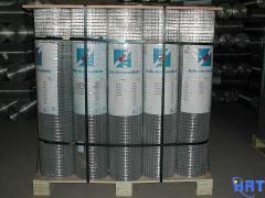 galvanized wire mesh