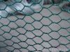 hexagonal wire netting