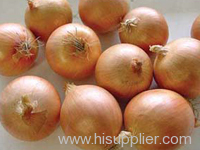 red onion