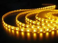 Shenzhen Dibisen lighting CO.Ltd