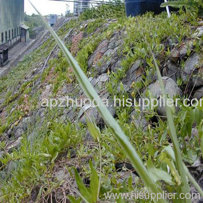 double twist woven mesh gabions