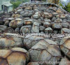 Gabion Mesh