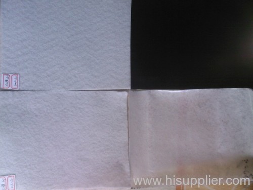 PE Film Composite Geomembrane