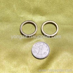 Ring magnet for packing