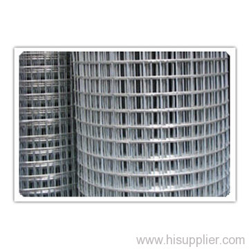 Galvanized Welded Wire Mesh