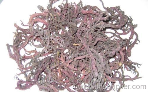 Dried Eucheuma cottonii / spinosum seaweed