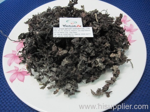 Dried Sargassum seaweed