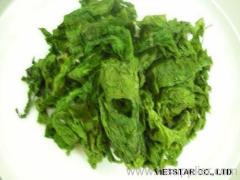 Dried Ulva Lactuca seaweed / seaweed powder