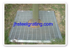 Tree Grate