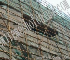 Scaffolding Net