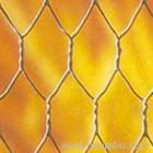 Hexagonal Wire Mesh