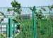 Welded Wire Mesh Fences