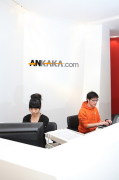 Ankaka Limited