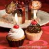 2011 New Style Cupcake Candle