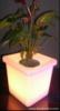 Led fruit pot