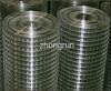 Stainless Steel Welded Wire Mesh