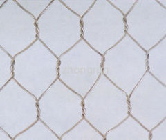 Hexagonal Wire Mesh