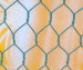 Hexagonal Wire Mesh