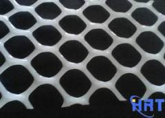 Plastic Flat Netting