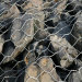 Gabion Box