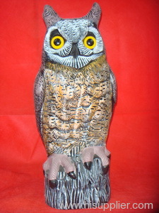 Straight head owl