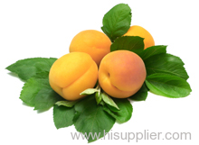 Apricot Puree