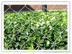 Coated Chain Link Fence