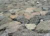 5twisted gabion mesh