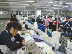 Zhejiang Dalouis Garment Co., Ltd.