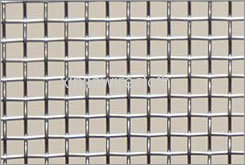 Galvanized Square Wire Mesh