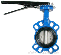 butterfly valve