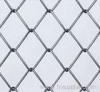 Chain link fence