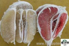 fresh guanxi honey pomelo