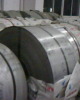 Stainless Steel Strip