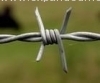 Barbed Wire/PVC Barbed Wire