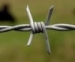 Barbed Wire/PVC Barbed Wire