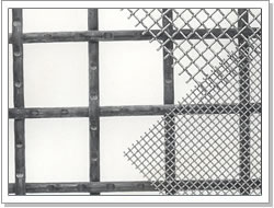 Stainless Steel Crimped Mesh