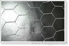 PVC Coated Hexagonal Wire Mesh