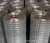 Galvanized Welded Wire Mesh