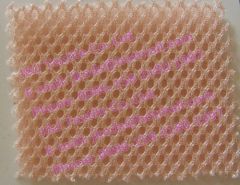 Sandwich Mesh Fabric/3D air mesh/Sandwich Mesh1