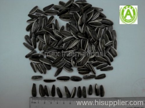 Sunflower seeds