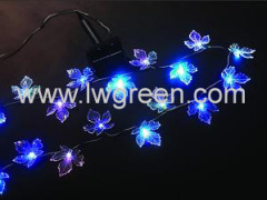 Solar Color Changing Light