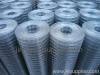 Quality Welded Wire Mesh(roll)