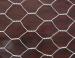 hex wire mesh