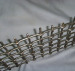 Galvanized Crimped Mesh