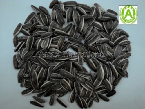 Sunflower Seeds