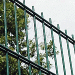 double rod fencing