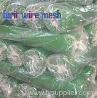 turf reinforcement mesh/ plastic flat mesh/plastic mesh/grass protection mesh