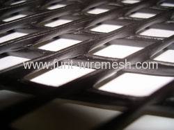 grass protection mesh/plastic wire mesh/plastic net